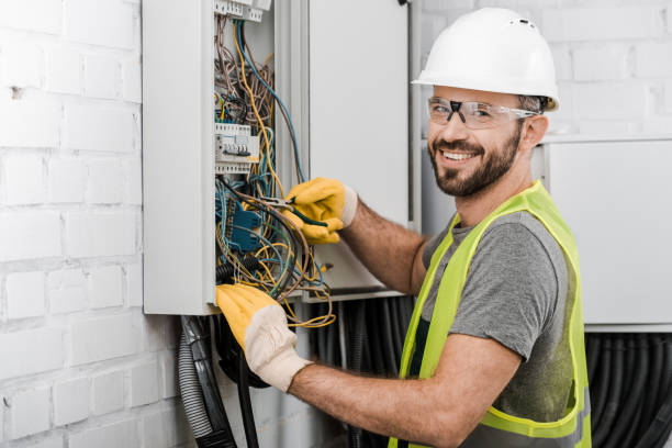 Best Electrical System Inspection  in Delevan, NY