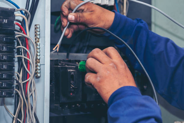 Best Electric Panel Repair  in Delevan, NY